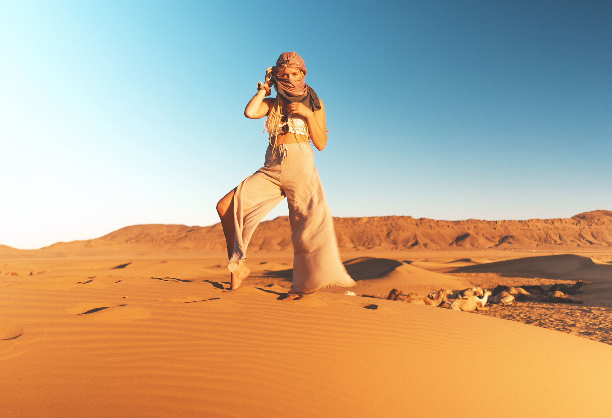 Safari & Dessert Tours 